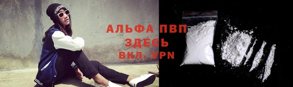 спиды Алзамай