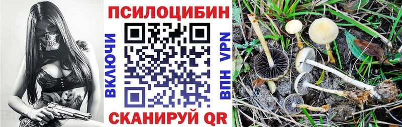 Галлюциногенные грибы Psilocybe Ялуторовск